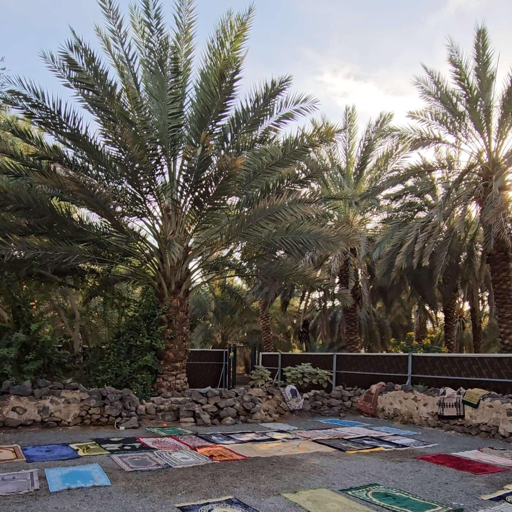 Madinah Tour 2 - The Haramayn Guide